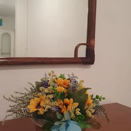 La Casa Di Mina Apartment *